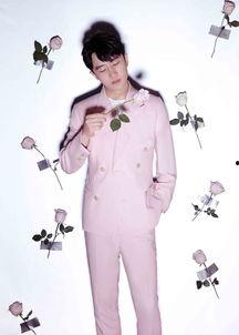 情人节衣服爆料视频大全,揭秘热门衣服爆料视频大全  第1张